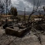 Latest news on the Los Gallardos (Almería) forest fire, live | Sánchez visits the areas affected by the Los Gallardos fire this Monday