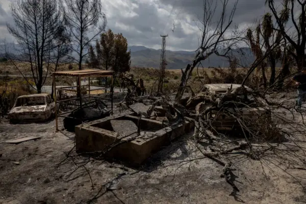 Latest news on the Los Gallardos (Almería) forest fire, live | Sánchez visits the areas affected by the Los Gallardos fire this Monday