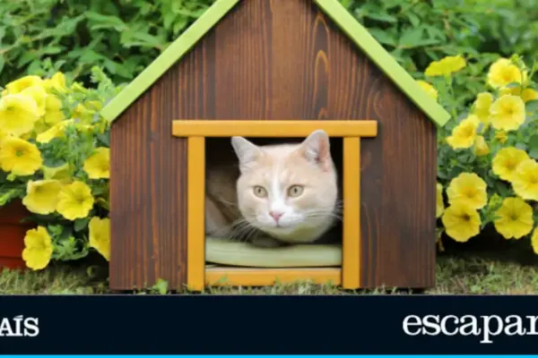 Durable and cozy: six cat houses ideal for patios, gardens, and terraces