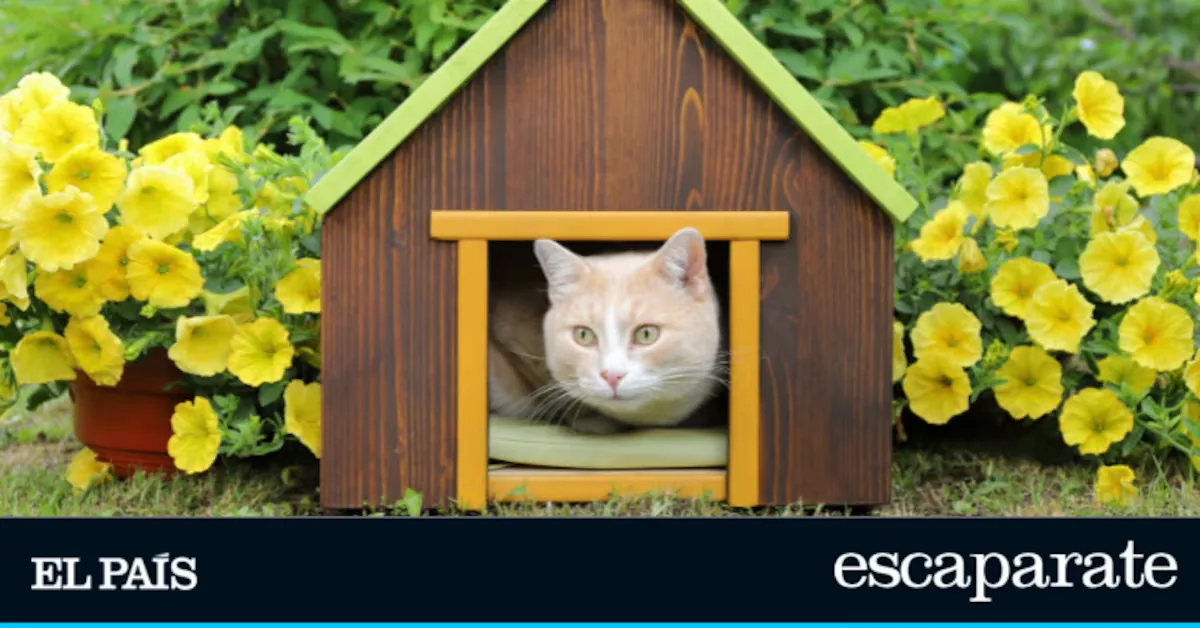 Durable and cozy: six cat houses ideal for patios, gardens, and terraces