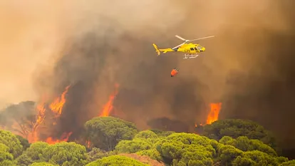 The Government will approve a benefit for workers affected by the fires