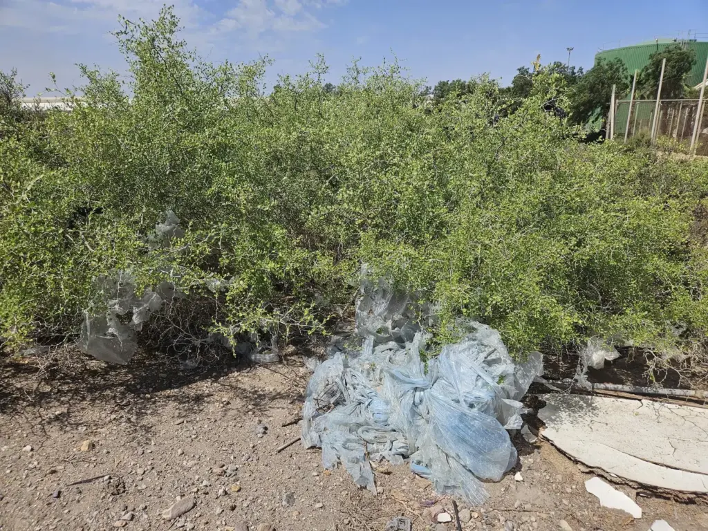 The case of Boqueras Altas, a plot that is pure plastic with tons of waste, explains the problem of Almería