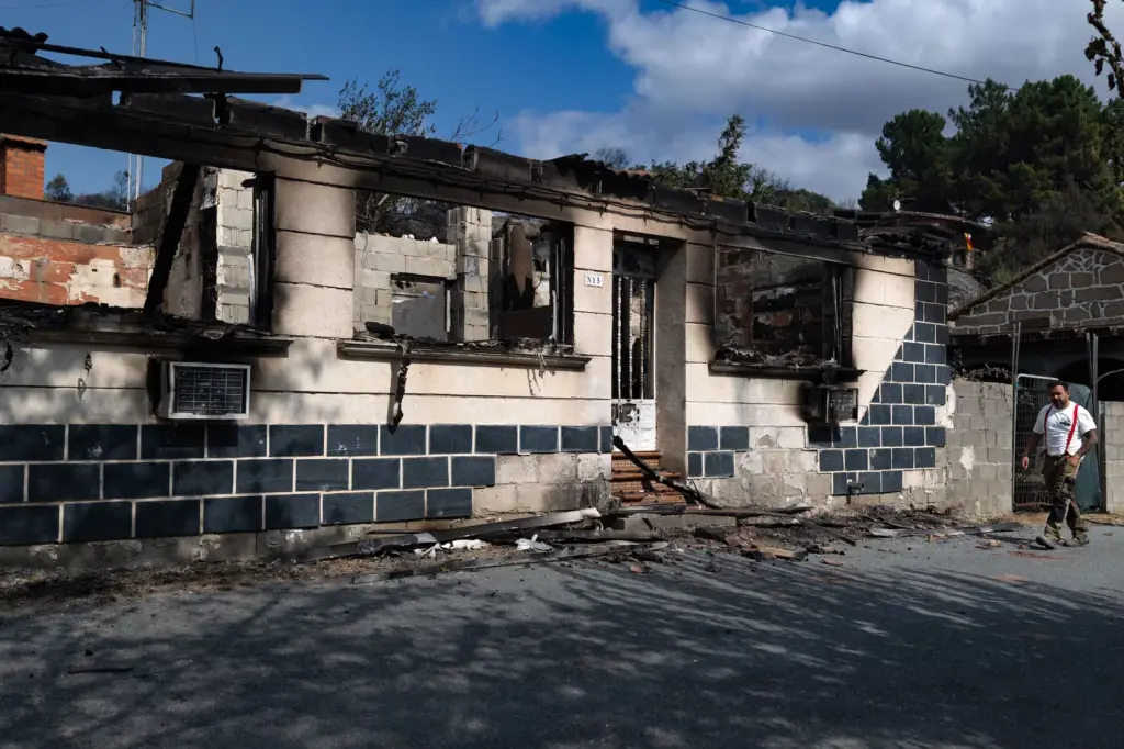 Experiencing the Ávila fire with the Gómez family: “The Civil Guard wanted to arrest us for cutting down some trees to prevent the fire from reaching the restaurant”