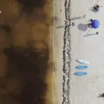 The plan against sargassum to save the beaches of Quintana Roo