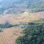 More than 20,000 geoglyphs hidden in the jungle reveal a densely inhabited precolonial Amazon