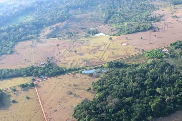 More than 20,000 geoglyphs hidden in the jungle reveal a densely inhabited precolonial Amazon