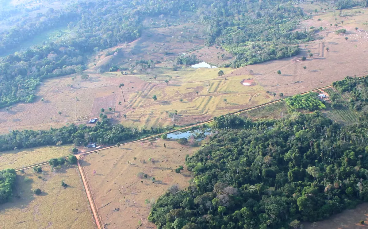 More than 20,000 geoglyphs hidden in the jungle reveal a densely inhabited precolonial Amazon