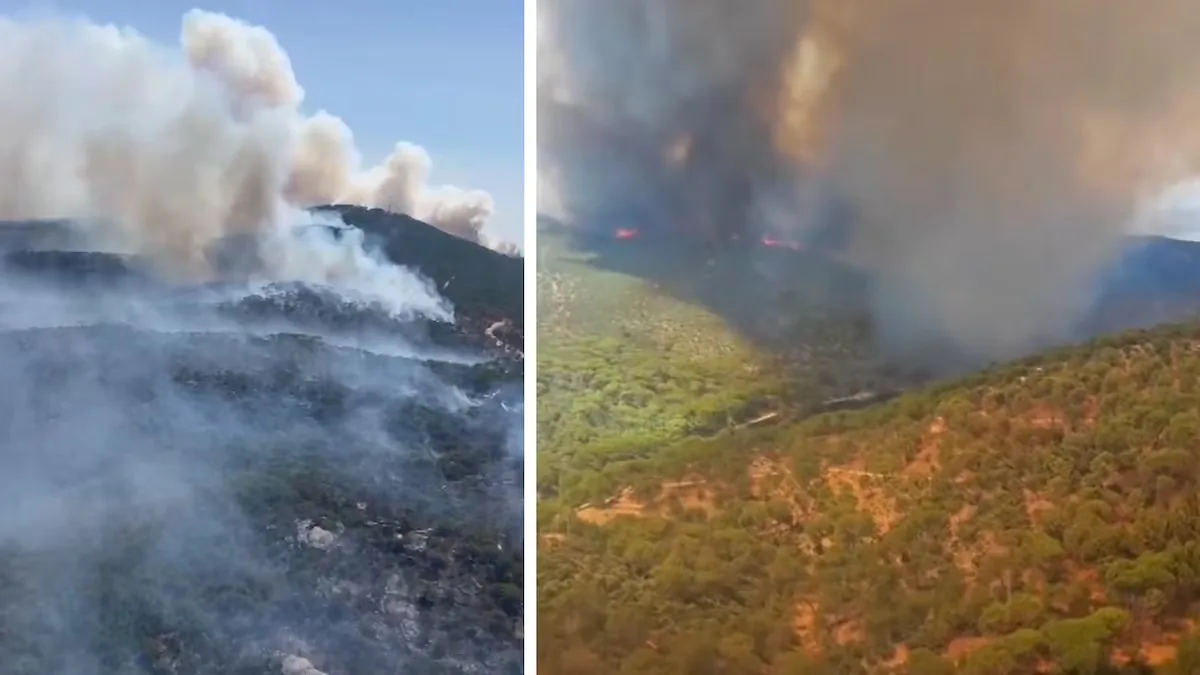 This is what the Madrid and Ávila wildfires look like from the air
