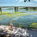 A 21-year-old man drowns in a canal of the Ebro Delta
