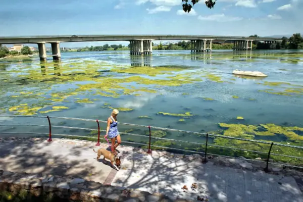 A 21-year-old man drowns in a canal of the Ebro Delta