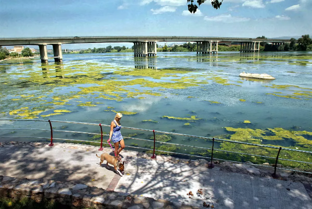 A 21-year-old man drowns in a canal of the Ebro Delta