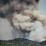 Latest news on wildfires in Spain, live | Firefighting teams race against time in the Madrid fire before the arrival of another heatwave