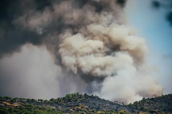 Latest news on wildfires in Spain, live | Firefighting teams race against time in the Madrid fire before the arrival of another heatwave