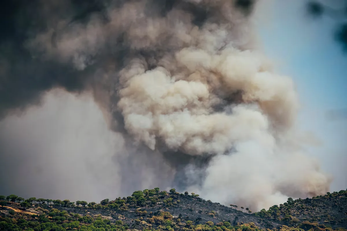 Latest news on wildfires in Spain, live | Firefighting teams race against time in the Madrid fire before the arrival of another heatwave