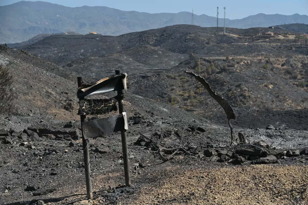 Latest news on wildfires, live | Efforts continue to identify the victims of the Gallardos fire