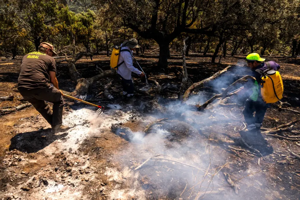 Inside a firefighting brigade: “Firefighters are overwhelmed, there were three new fires last night”