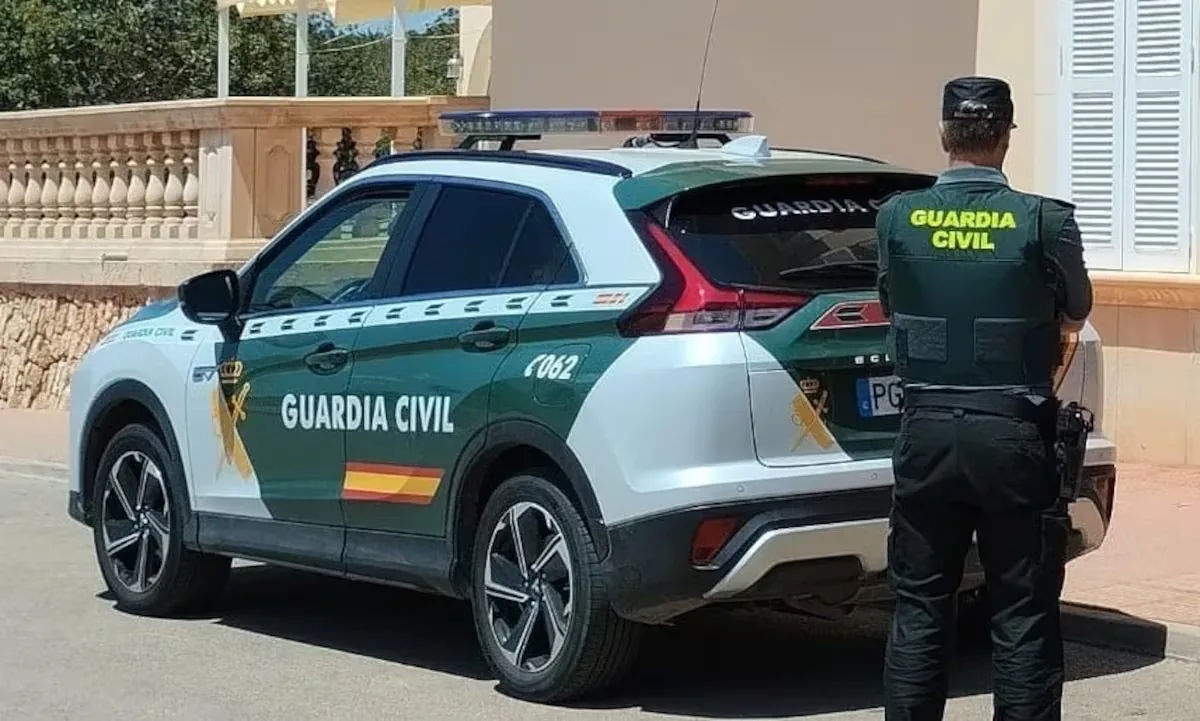 Woman assaulted by two men allegedly hired by her husband dies in Sevilla la Nueva (Madrid)