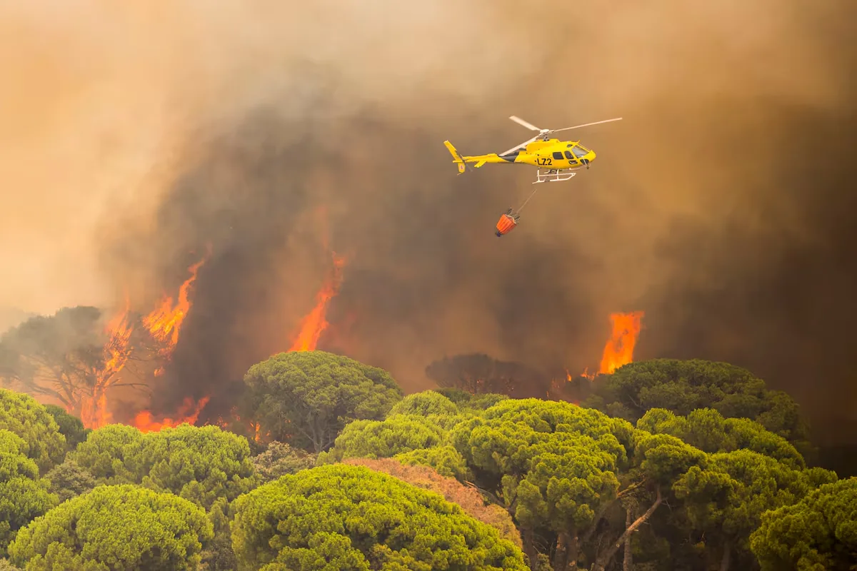 The fires in Madrid, Ávila and Toledo already affect 77.000 hectares and force 90.000 people to evacuate or be confined