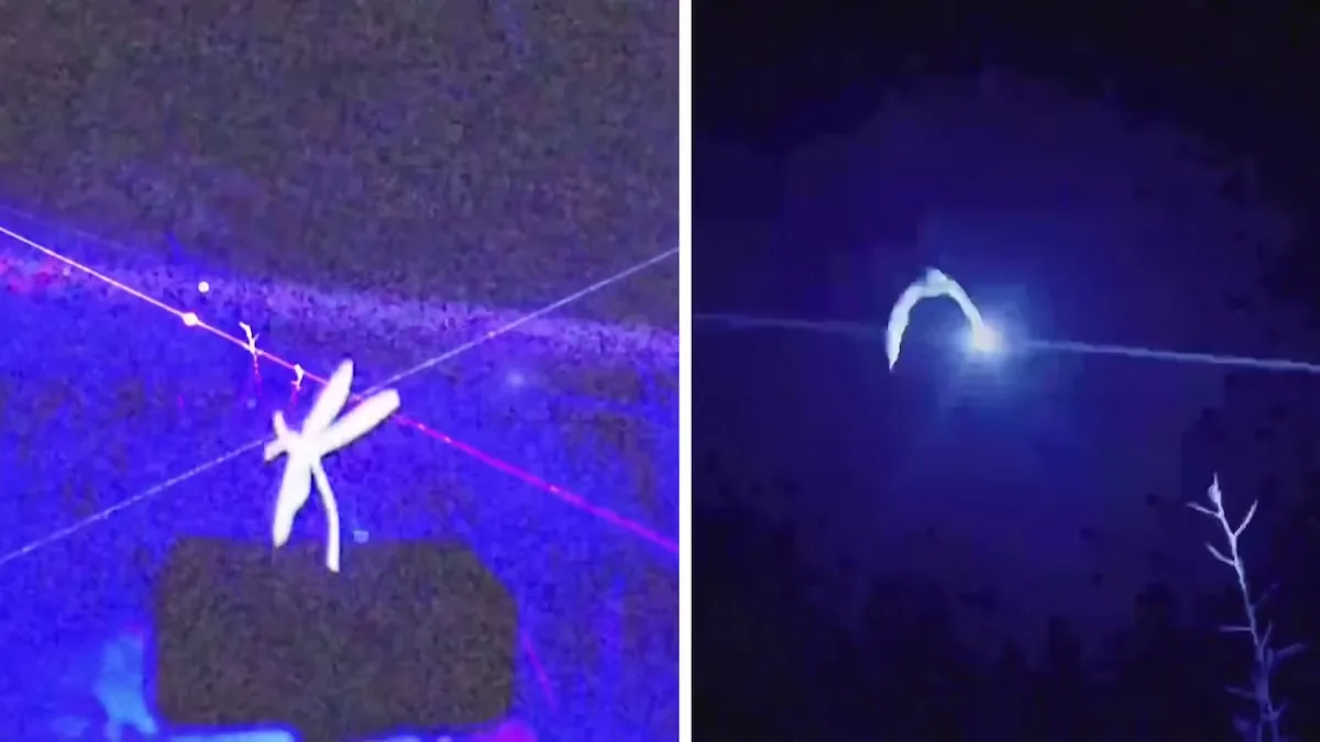 A Chinese company invents a laser device that kills mosquitoes in mid-flight