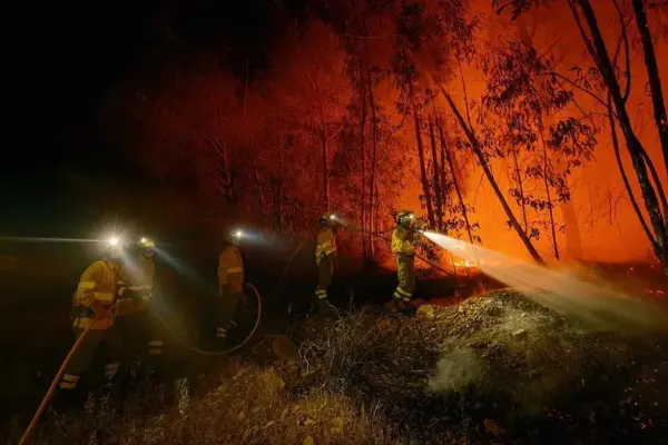 Environmental Hoax Detector | Five Myths About Forest Fires