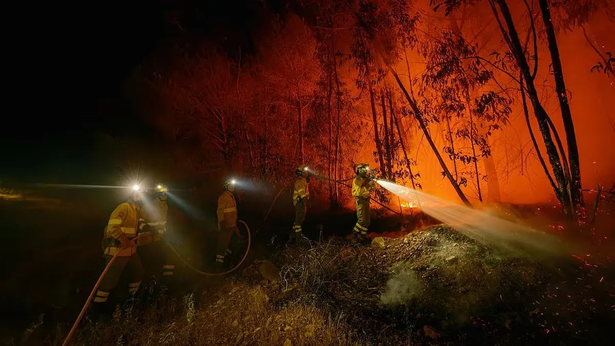 Environmental Hoax Detector | Five Myths About Forest Fires