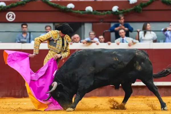 A bull and a rejoneo horse stand out in the second of San Sebastián