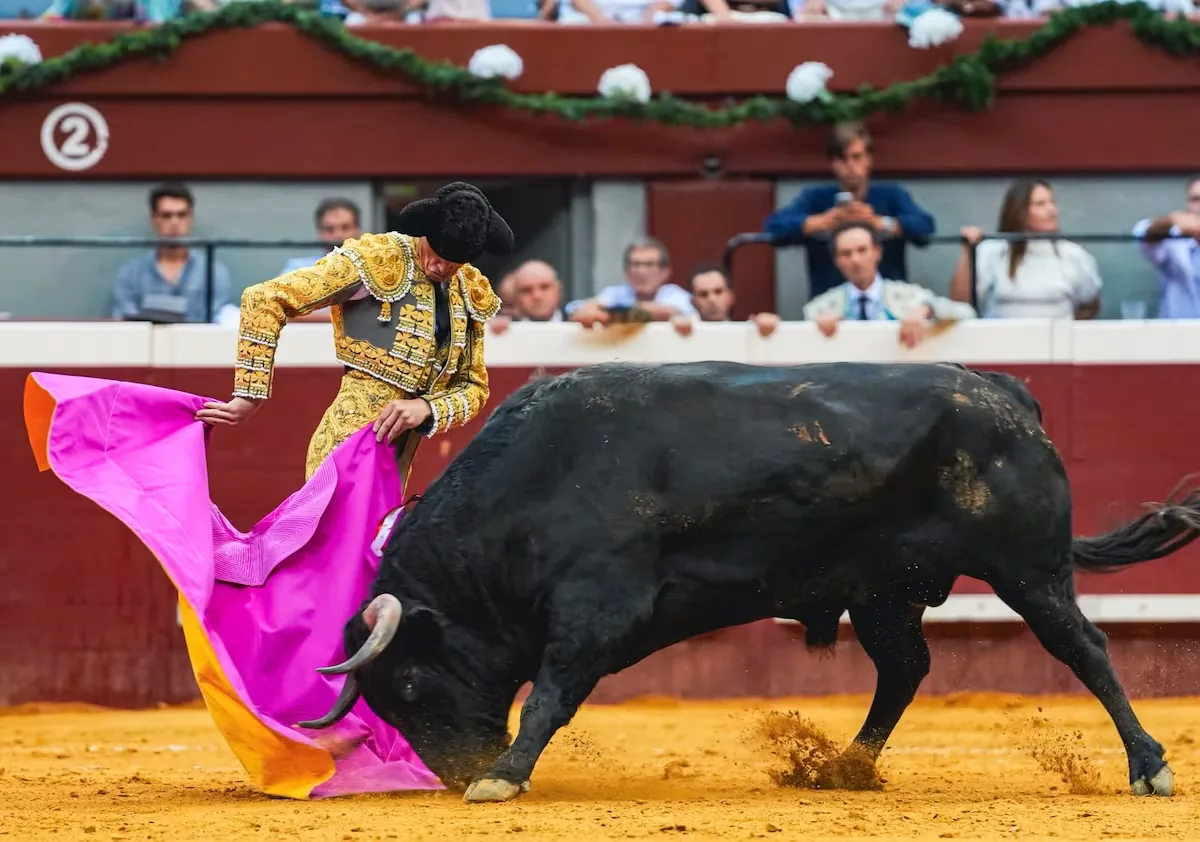 A bull and a rejoneo horse stand out in the second of San Sebastián