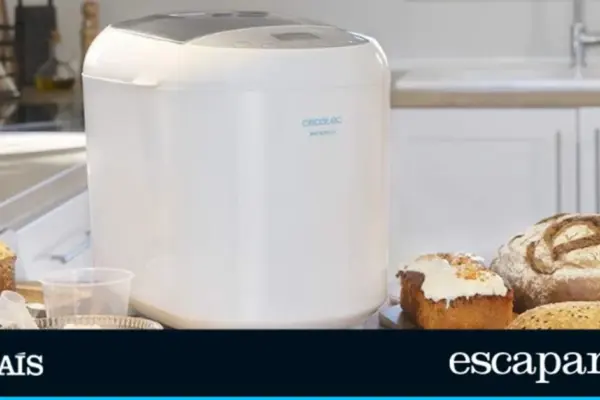 Eat “real” bread again every morning: the appliance that kneads and bakes while you sleep