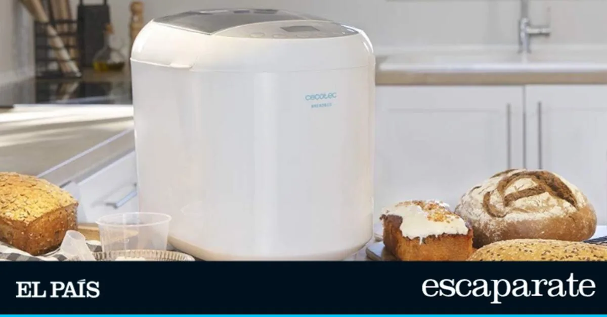 Eat “real” bread again every morning: the appliance that kneads and bakes while you sleep
