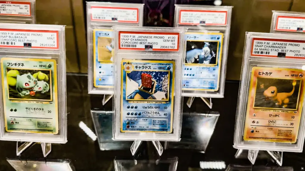Coleccion princesa Pokemon