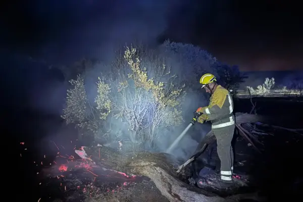 The fire in Aldea del Fresno remains stabilized and its progress is "positive"