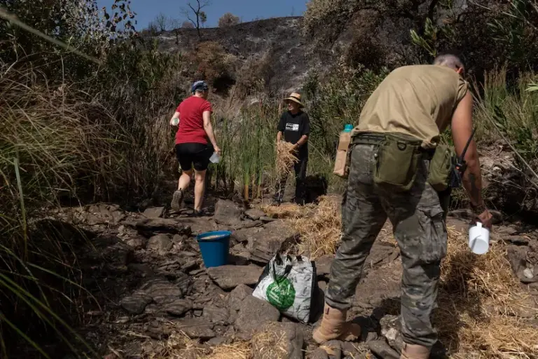 Berrocal was saved for the fifth time from the flames with 12 neighbors hiding to defend the town: “The fire stayed 50 meters away”