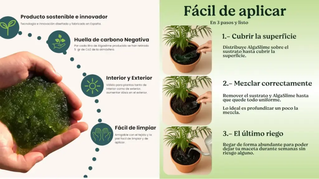Why plant lovers are ditching drip irrigation for this microalgae gel