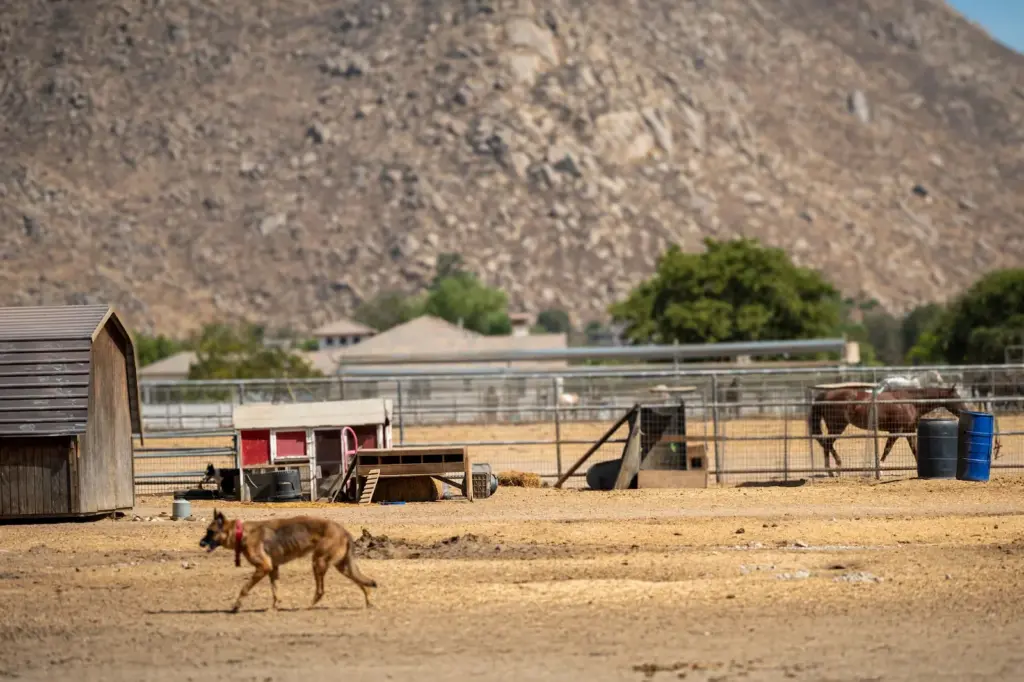 The ranch in California of the new CJNG boss, which the Trump Government seeks to seize