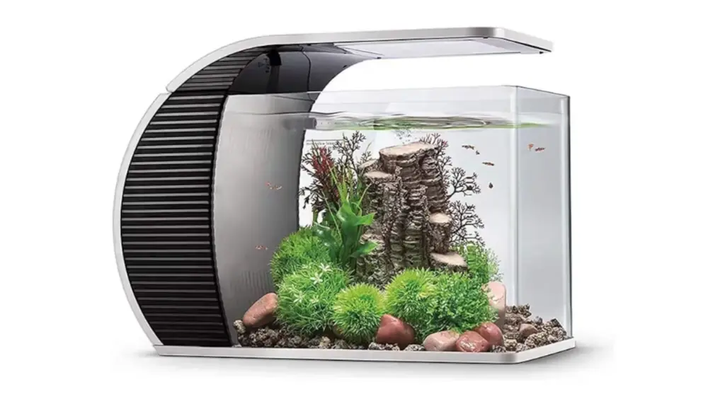 We tested the best aquariums for beginners and this is the winner.