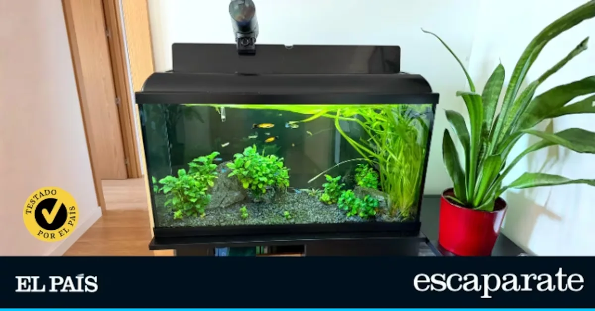 We test the best aquariums for beginners