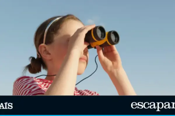 If you want to see the eclipse with binoculars or a telescope you also need a filter: this is the best seller