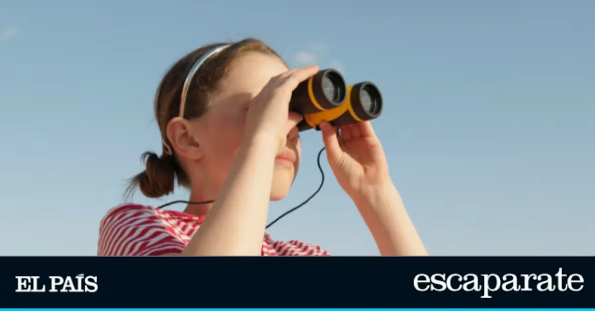 If you want to see the eclipse with binoculars or a telescope you also need a filter: this is the best seller