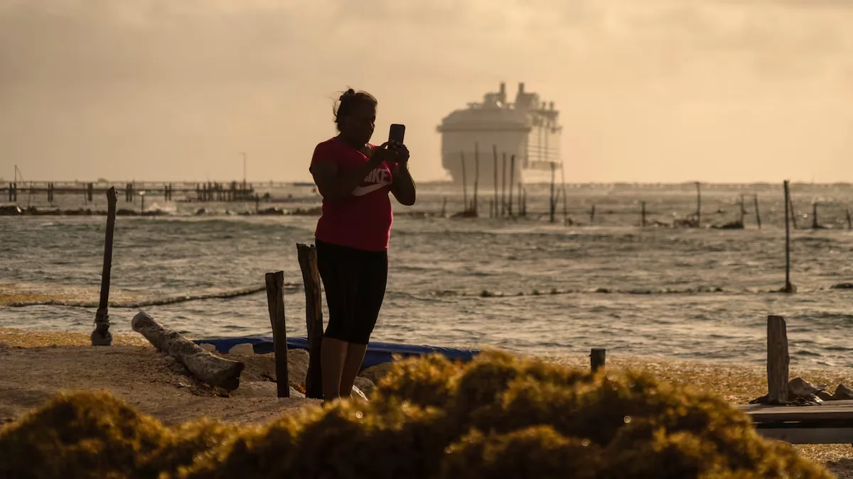 La Suprema Corte sienta un precedente en la justicia ambiental al atraer el caso de Royal Caribbean