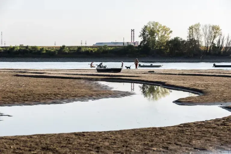 Journey along the bed of a Danube stripped by drought: “Every year the situation is worse”