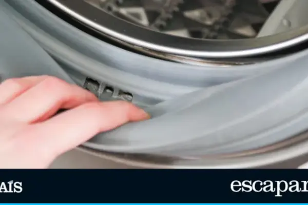 “She leaves it like new”: this gel removes the accumulated dirt on the washing machine rubber