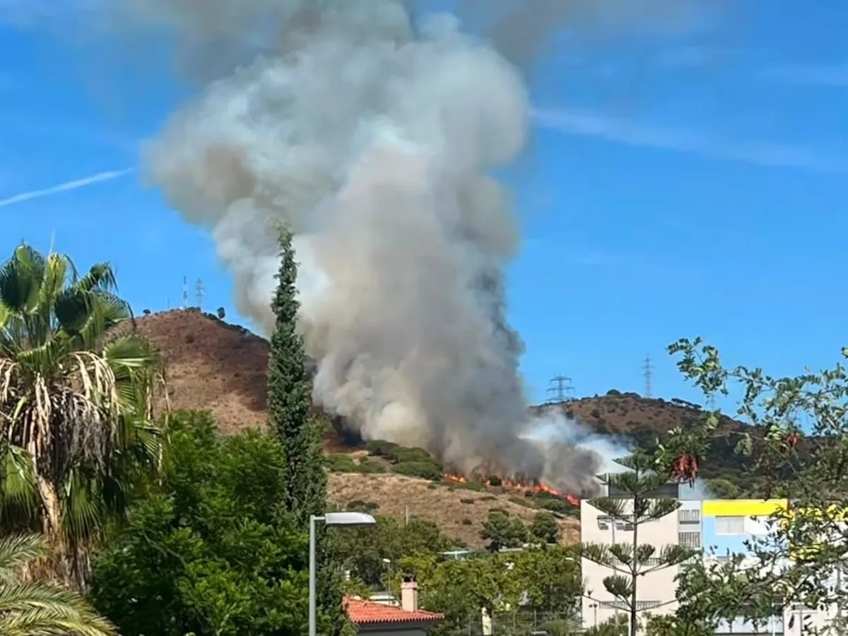A fire burns forest in Collserola, above the Canyelles neighborhood of Barcelona
