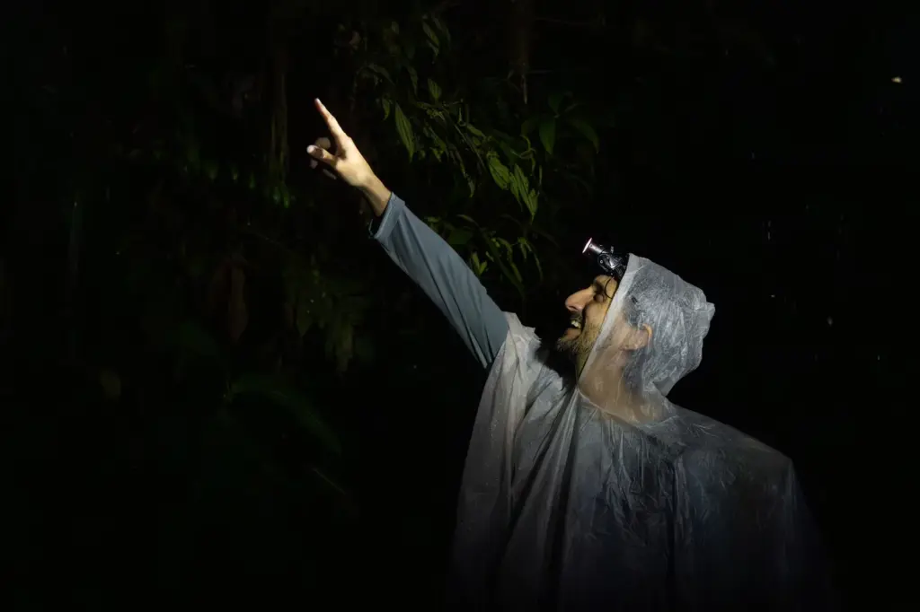 The orchestra of biodiversity that only sounds in the dark