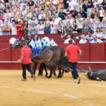 Málaga, first and third class bullring in Spain, in the context of a denatured bullfighting