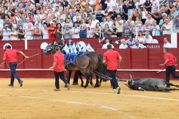 Málaga, first and third class bullring in Spain, in the context of a denatured bullfighting