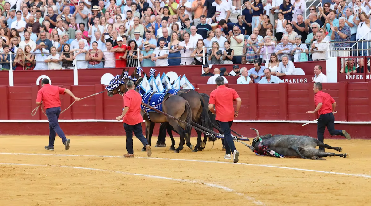 Málaga, first and third class bullring in Spain, in the context of a denatured bullfighting