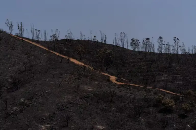 Berrocal was saved for the fifth time from the flames with 12 neighbors hiding to defend the town: “The fire stayed 50 meters away”