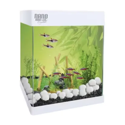 We tested the best aquariums for beginners and this is the winner.