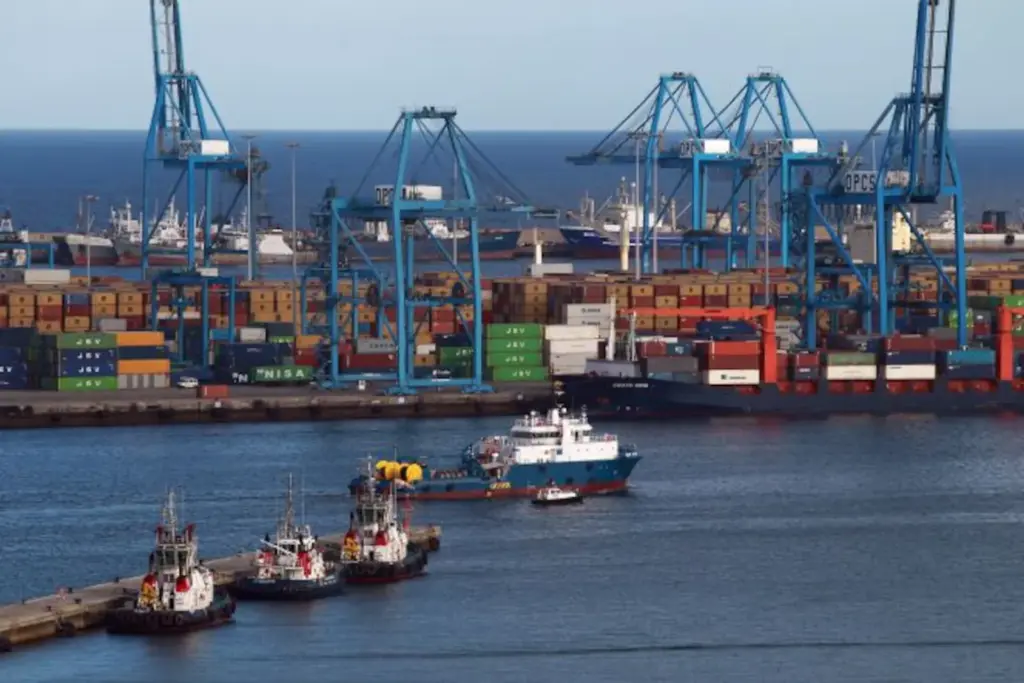 The controversial plan to create the world's first octopus farm in the Canary Islands sinks