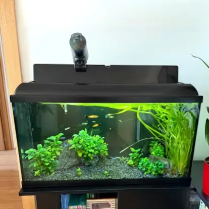 We test the best aquariums for beginners